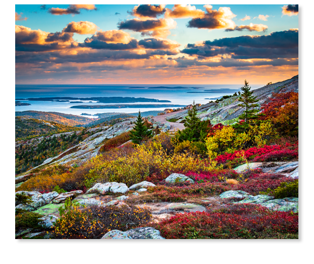 An autumn view from Cadillac Mountain in Acadia National Park